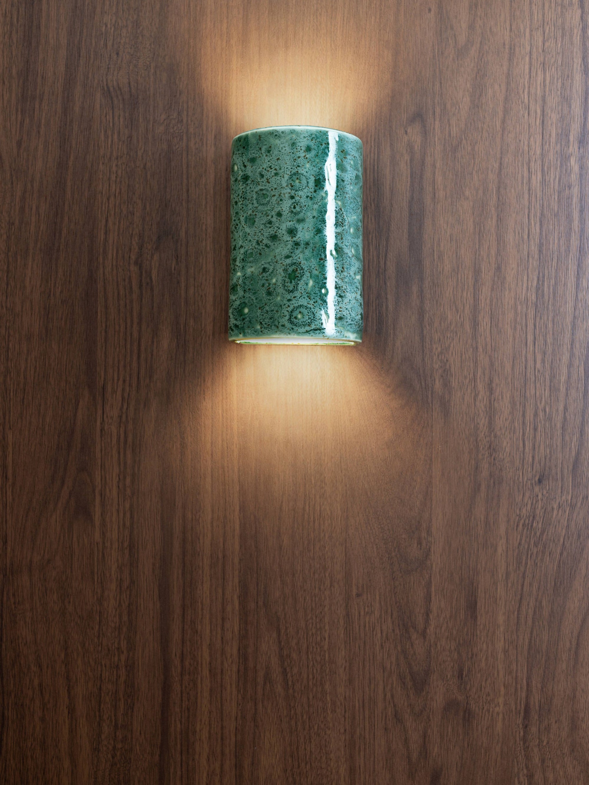 Pickled Olives | Dawn Short | Ceramic Wall Light